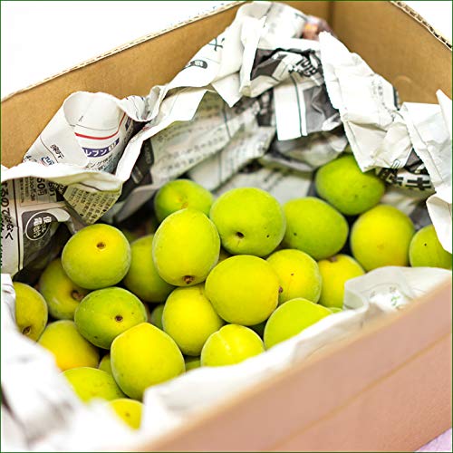 Amazon.co.jp: 竹城青果 山形県産 加工用 青梅 1kg : 食品・飲料・お酒