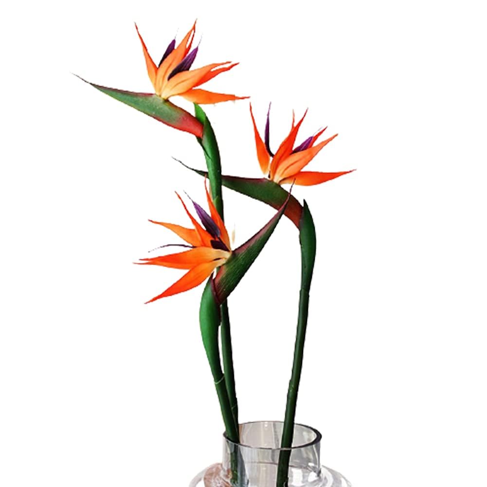 HAOSHICS 3Pcs Artificial Heaven Bird Flowers,Fake Bird of Paradise Strelitzia,Faux Silk Plants for Home Office Wedding Table Centerpeice Decor (small, sunset)