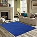 Solid Color Area Rugs Neon Blue - 5' x 7' Rectangle, Indoor, Stain & Fade Resistant, Perfect for Living Room, Bedroom, Dining Room, Entryway, Doorway, Pet & Kids Friendly Rug, Wedding, Made in USA
