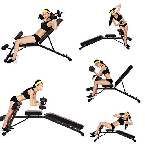 Adjustable Strength Training Bench, Weight Bench, Extension Bench for Multi-Position Workout (Black)