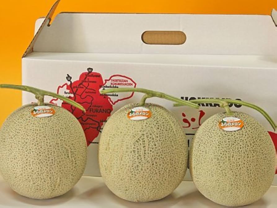 「専用」メロン様 efc1f0702d18b8da5125c8d31e2cb6