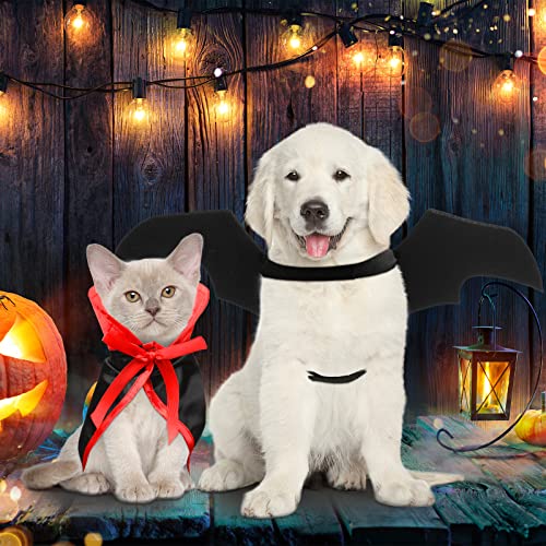 Set de disfraz Halloween 6 piezas para mascotas Small miniatura 4