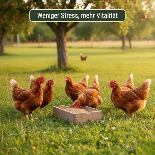 Leimüller Bierhefe für Geflügel 5 kg - Ergänzungsfutter für Hühner, Wachteln & Geflügel - Mit B-Vitamine & Aminosäuren für gesunde Federn & Vitalität - Reich an Mineralien & Spurenelementen