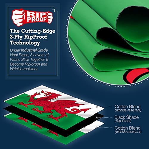 Anley Rip-Proof dupla face 3-Ply Wales Flag 3x5 Ft – Cabeçalho de lona e resistente a rugas – A mais