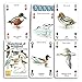 Heritage Playing Cards. Waterbirds and Wildfowl. [Toy] by Heritage Playing Cards