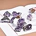 JIC Gem 1.1 LB Amethyst Clusters Natural Raw Amethyst Geode Rock Crystal Healing Stones Witchcraft Gemstone Specimen