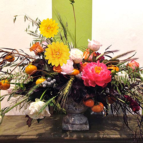 Silk Marigold Flower Heads Bulk, Artificial Marigold Flowers Artificial Yellow Flowers Heads Bulk For Party Diy Festival Home Decor Hat Ornament 15Pcs (Yellow)… #TOP3