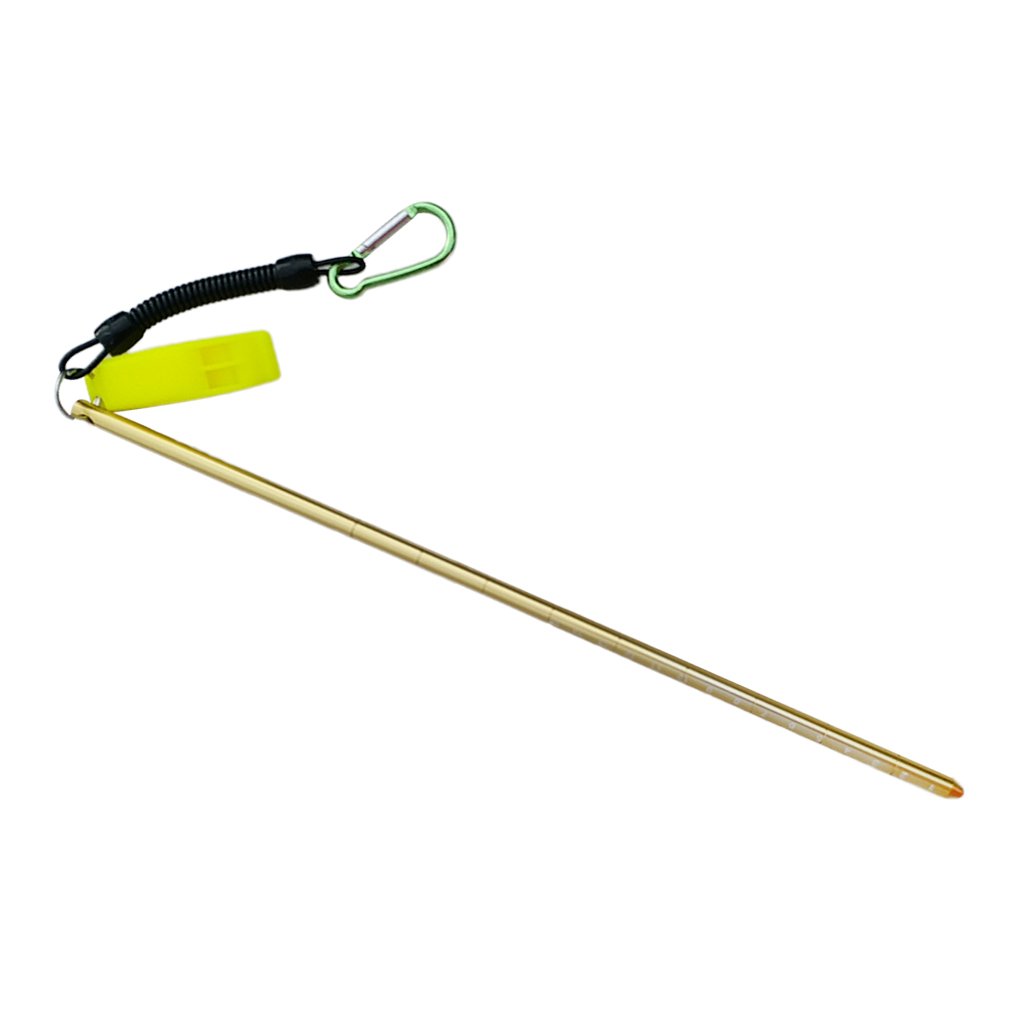 D DOLITY 34cm Aluminium Riffstab Unterwasser Tauchen Zeigestab mit Spiralkabel - Gold