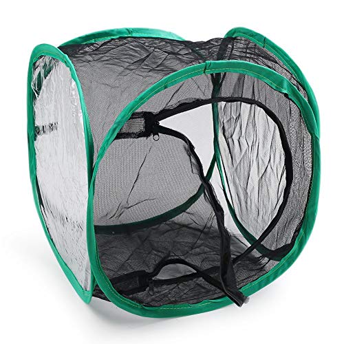 Miraclekoo Insect and Butterfly Habitat Cage Terrarium Pop-up (12 x 12 x 12 inch)