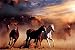 Horses (Stampede) Art Poster Print - 24x36 Poster Print, 36x24 Poster Print, 36x24