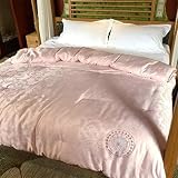 Generico docciaInserto Piumino Trapuntato in Seta di gelso per trapunte Doppie in Seta Trapunte estive con Imbottitura in Seta Jacquard di Cotone (Colore : B Dimensioni : 180x220cm) (B 180x220cm)