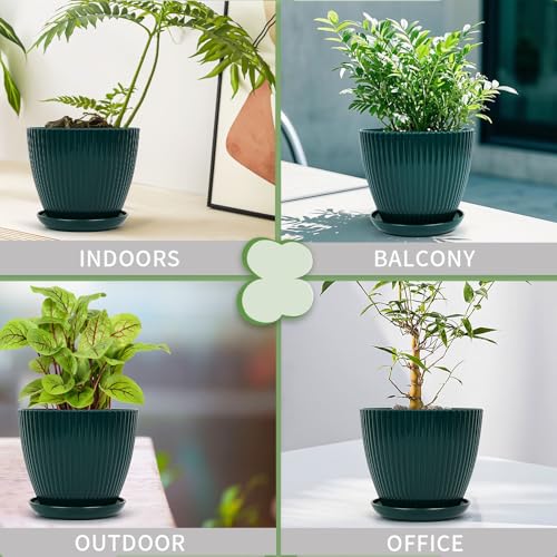 Vodotion - Plant Pots Indoor with Saucers & Drainage - 6 Pack Flower Pots - Plastic Planters for Indoor Planter - 7.5/6.6/5.8/5.0/4.3/3.5 inches Sizes for All Different Types of Plants-Dark Green - Image 5