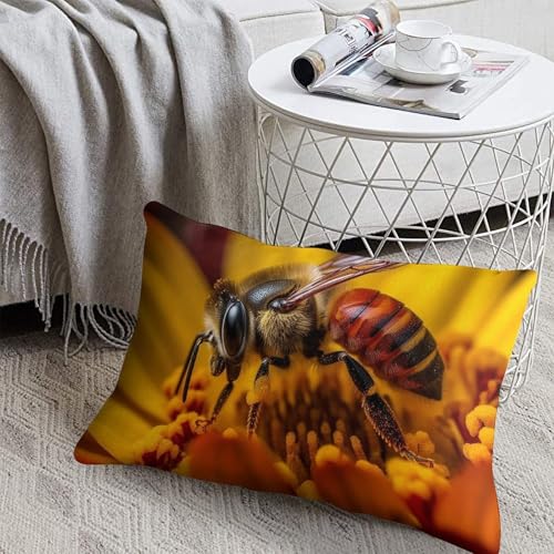 �f�R���e�B�u�R���N�g�l�N�^�[ ���p�N�b�V�����J�o�[ 20.32cmx30.54cm�A�B���W�b�p�[�A�\�t�g�v���b�V�����J�o�[�v���e�N�^�[ �\�t�@�A�x�b�h�A�J�E�`�A���r���O���[���A�K�[�f���A�t�@�[���n�E�X�̃z�[���f�R���[�V�����p