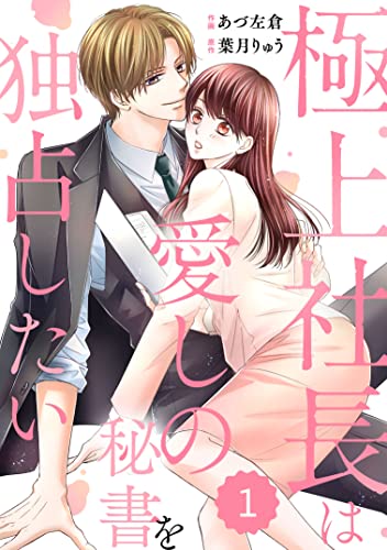 comic Berry’s極上社長は愛しの秘書を独占したい1巻 (Berry's COMICS)