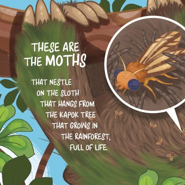 Sloths and their Moths