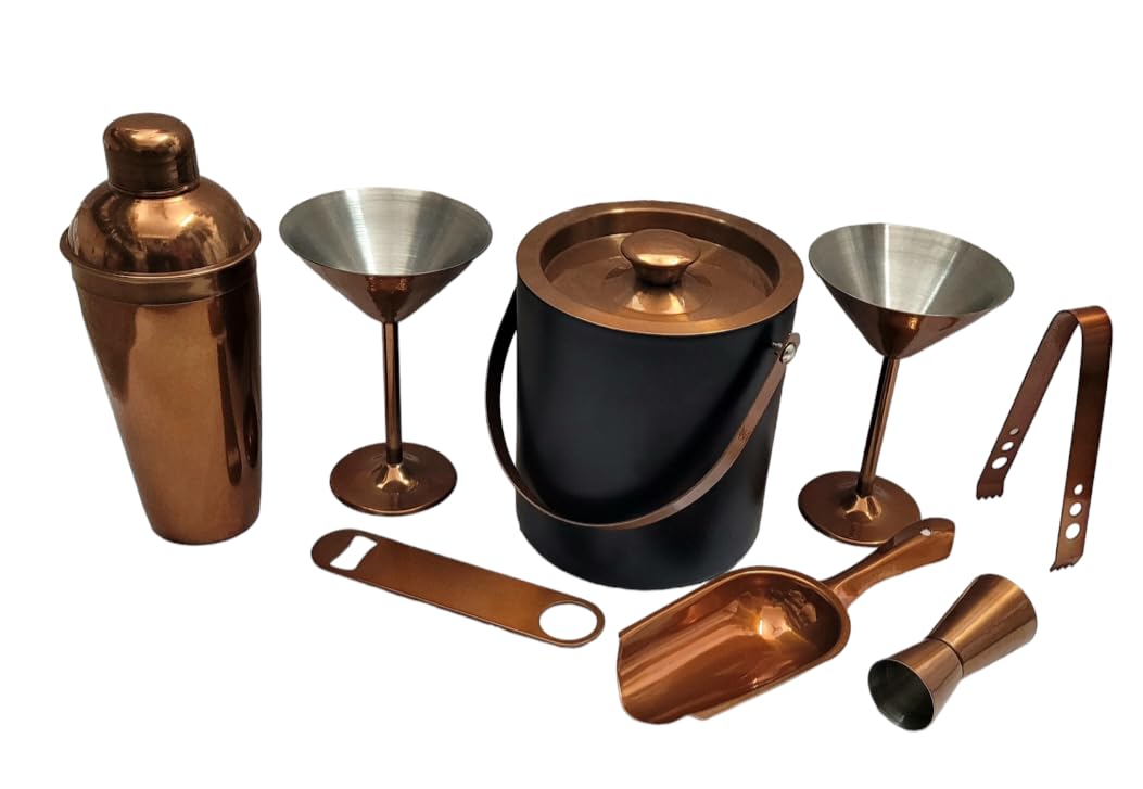 Proniks Stainless Steel Ice Bucket (1.L) with Opener, Ice Tong,peg Measure,Ice Scoop,Cocktail Shaker (750ml) with Martini Glass (2pcs)|Great bar Tools for Home bar Accessories