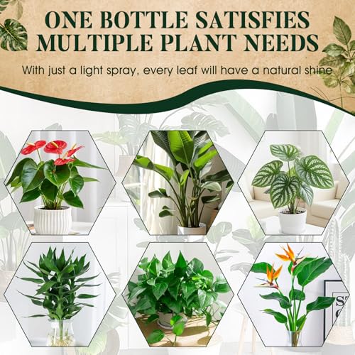 Spray Brillo para Hojas de Plantas JAOJAO 400ml miniatura 4