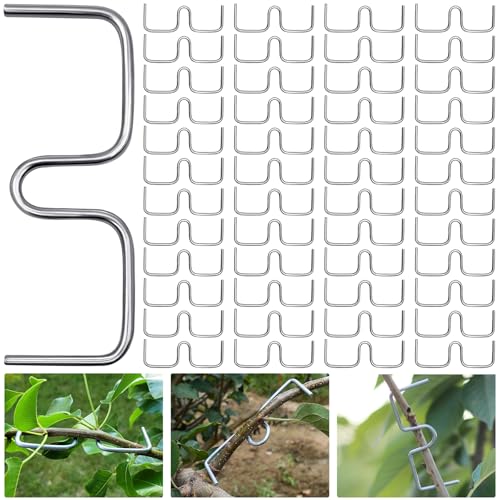 YeahBoom - YeahBoom Lot de 48 supports pour branches, extracteurs pour branches de jardin, support pour extracteur de branches de fruits, branche d'arbre de fruits, écarteurs de fruits, clips en métal pour