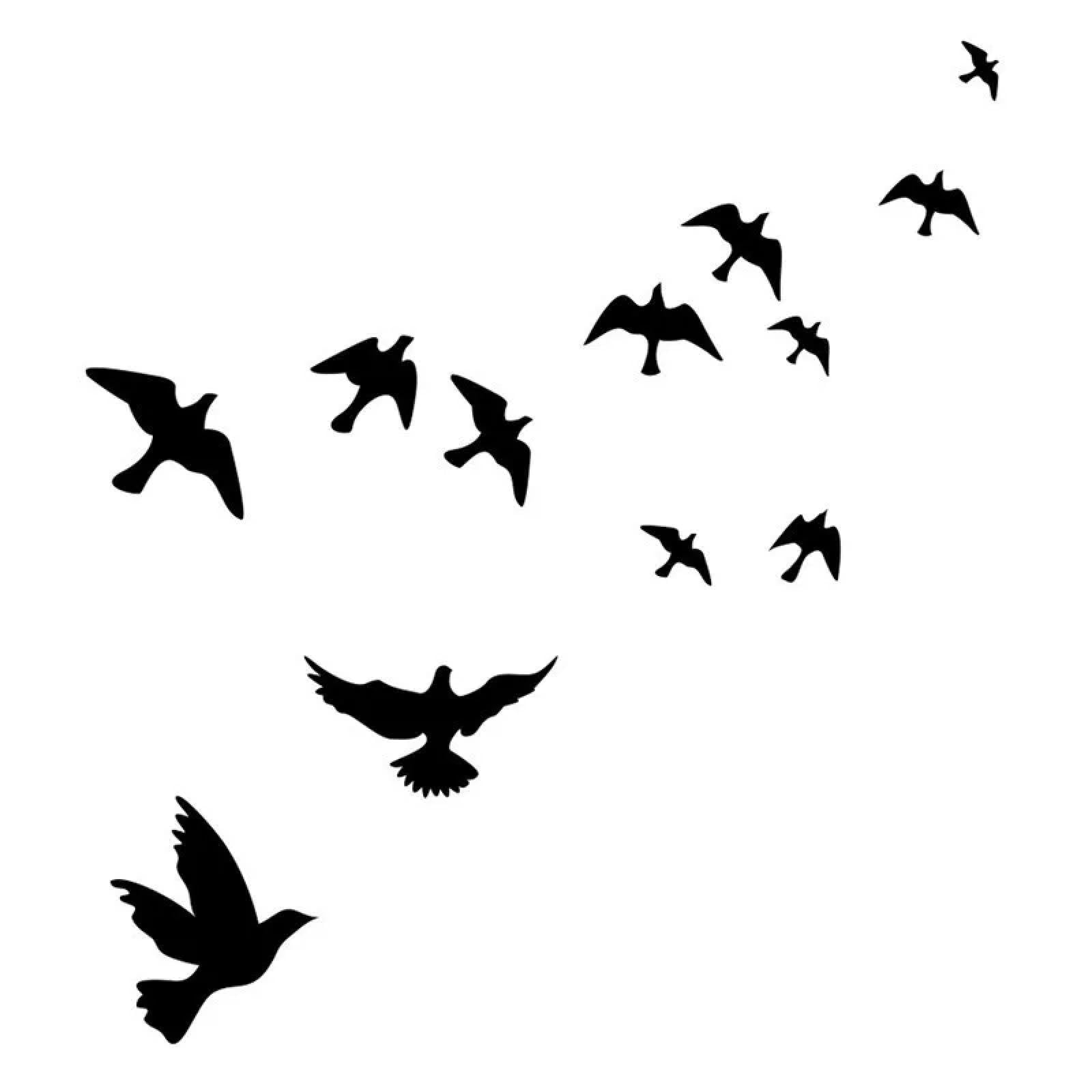 WEIMEIJIE Bird Pattern Wall Stickers for Teenagers and Children, Waterproof Living Room, Kindergarten, and Nursery Schools