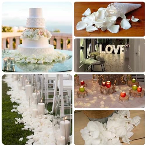 300 PCS Dried White Rose Flower Petals, Real Freeze Ivory Rose Petals for Decor, Wedding, Romantic Night, Proposal Venue, Party Confetti Bridal Shower (2.8oz) image 6