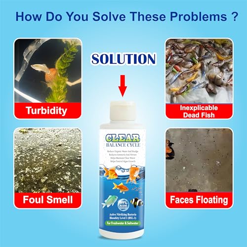 Image of Beyond Fill Automatic Fish Tank Cleaner Liquid Suitable for Fresh and Salt Water Aquarium and Fish Tank Pack of 3 (100ML Each)