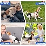 2er Pack Hundewindeln Wiederverwendbare Läufigkeitshose für Hündinnen Hundewindeln Für Hündinnen mit 8 Damenbinden Verstellbare Schutzhose für Waschbare Schutzhose, Schwarz und Blau, M