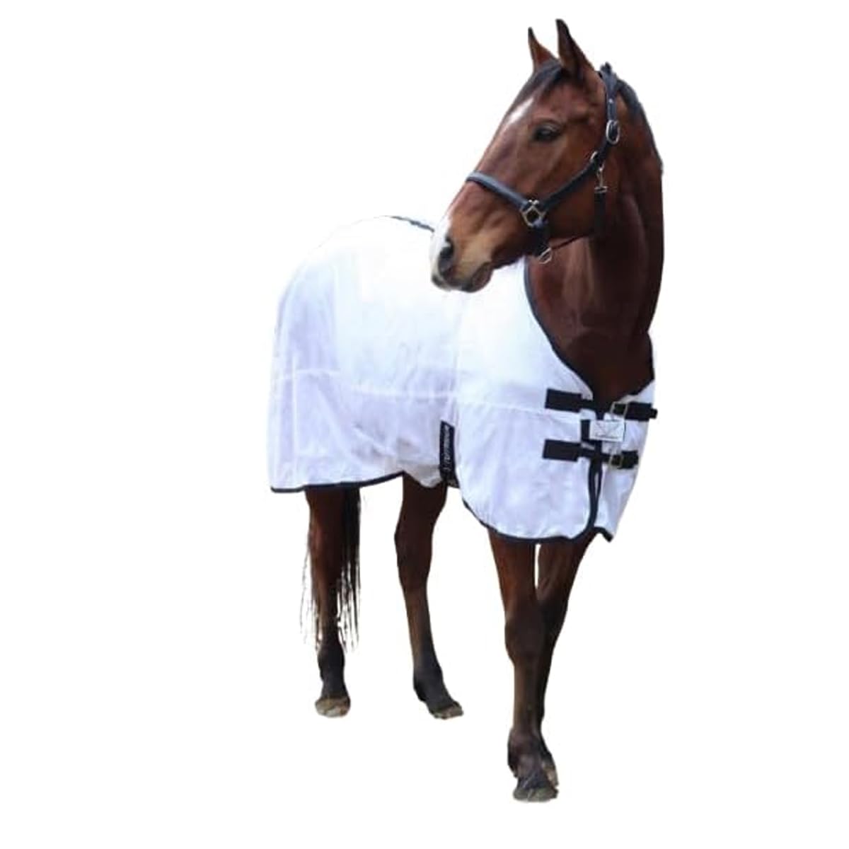 TuffRider Comfy malla quitasol