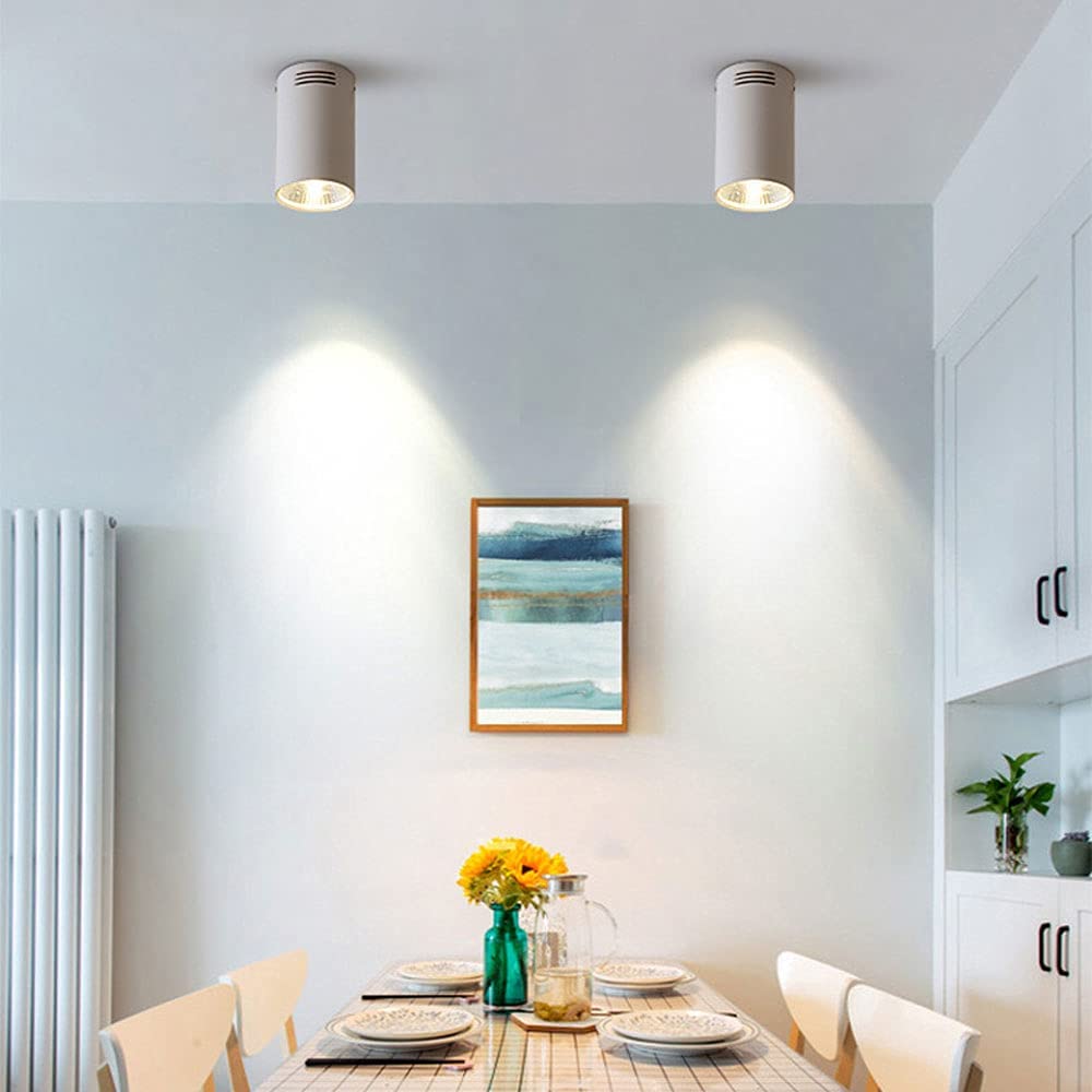 Lampa Ścienna Nowoczesne Sufitowe Reflektor Accent Lampa, 10W Led Sufitowy Montowany Światła, Aluminiowe Oświetlenie Spotowe Na Powierzchni, Cylindryczne Reflektory Sufitowe Do Gospodarstwa Dom