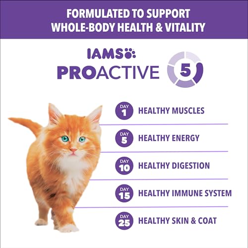 Image of IAMS Proactive Health Healthy Kitten Dry Cat Food Salmon Recipe, 3.5 lb. Bag