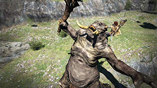Dragon S Dogma Dark Arisen Nintendo Switch Capcom U S A Inc Everything Els Amazon Com