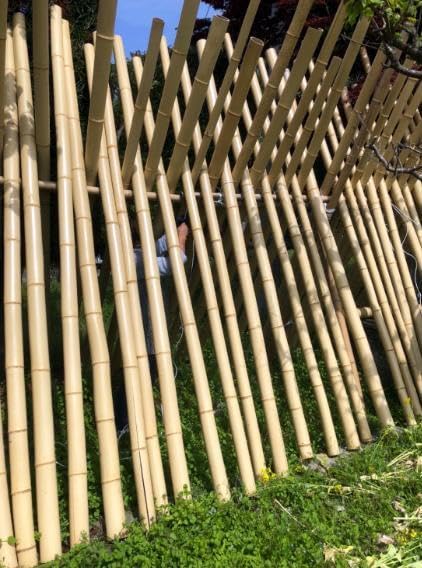 Amazon.co.jp: 手編み 竹細工 (真竹、煤だけ）盛籠 竹工芸 竹籠 菓子器  