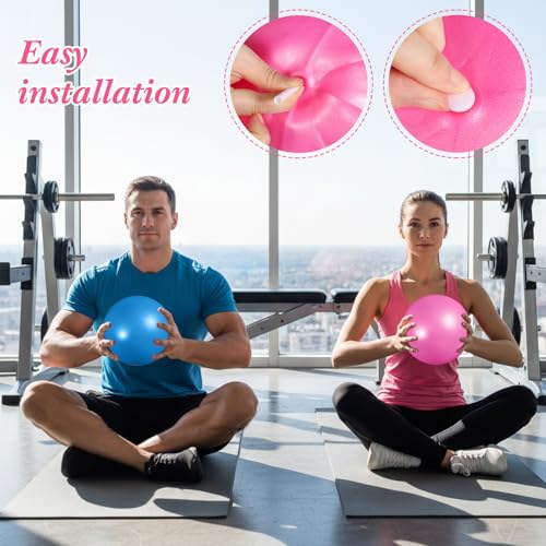 Image of Aoriher 10 Pack 9 Inch Small Pilates Ball Bulk Mini Exercise Ball Portable Non-Slip Workout Yoga Balls with Air Pump for Stability, Barre, Fitness, Balance, Physical &Core, Gym Home Office Use