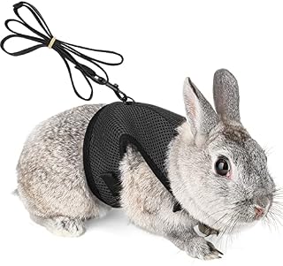 HAPPY HACHI Soft Rabbits Harness with Elastic Lead, Adjustable Bunny Rabbit Harness and Leash Set, Mesh Vest for Hamsters Small Cats Rats Guinea Pig Walking(S, Black)