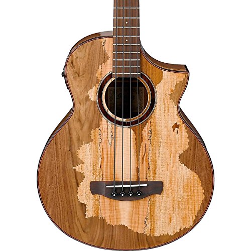 Ibanez AEWB50 Acoustic Electric Bass Guitar