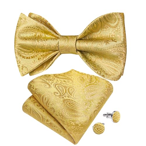 Image of DiBanGu Men Bow Tie Paisley Striped Self-Bow Tie for Men and Silk Woven Bowtie Pocket Square Cufflinks Wedding Party