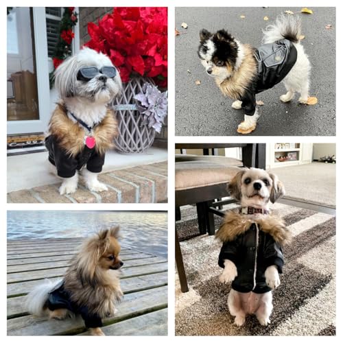 PETLESO Hundebekleidung Winter Hundemantel Warm Fleece Hundejacke Aufknöpfen Leder Winterjacke für Kleine und Mittelgroße Hunde - M