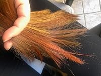 Review Image by Gray Childs Gray Childs