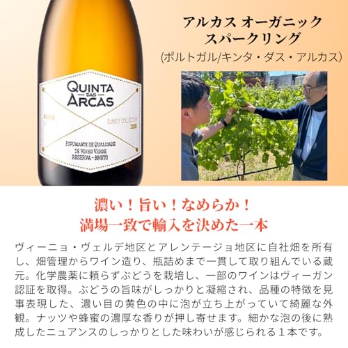 ヴィノスやまざき スパークリングワイン6本セット