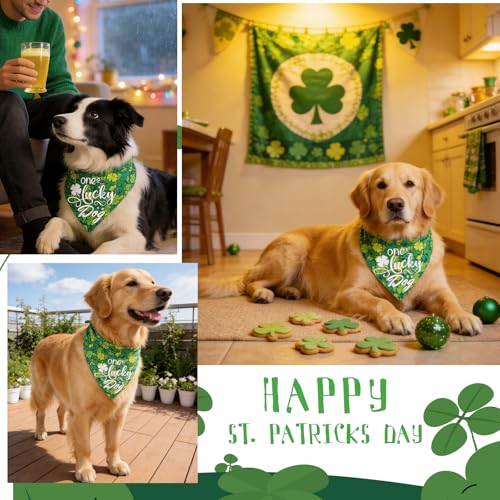 Bandana reversible para perro talla grande con diseño Lucky Dog miniatura 4