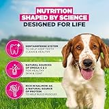 Eukanuba Salmon & Barley - Complete Dry Dog Food - For Adult Small & Medium Breed Dogs 12KG - Image 5