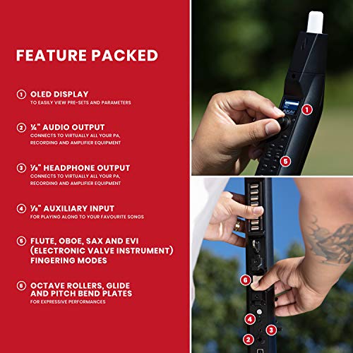 Image of Akai Professional EWI Solo - Electronic Wind Instrument With Built-in Speaker, Rechargeable Battery, 200 Sounds and USB MIDI Connectivity