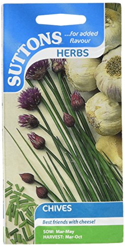 Suttons Seeds 164596 Chives Herb Seed