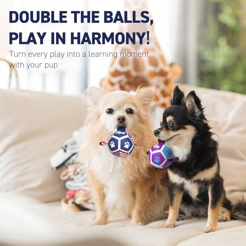 Image of QDAN 2 Pack Small Dog Toys, Puppy Balls, Dog Balls with Straps for Small Breed, Soccer Ball for Dogs, Puppy Toys, Dog Birthday Gift (3.5 Inch)