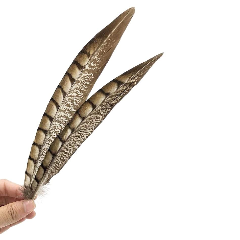 Plumas de pavo real naturales doradas de 15-20 cm para manualidades y decoración bodas pack de 20 uds