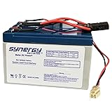 Razor Pocket Mod Blossom W15120040003 Versions 45 +Replacement Batteries and Wiring Harness Beiter DC Power