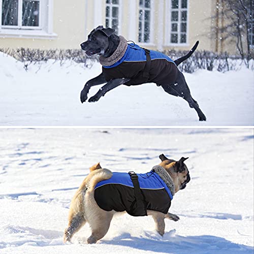 Dentrun Winter Warm Dog Coat Windproof Cozy Dog Jacket Cold Weather Thick Fleece Vest Water Repellent Apparel With Harness/Leash Hole & Reflective For Outdoor Small Medium Large Dogs #TOP6