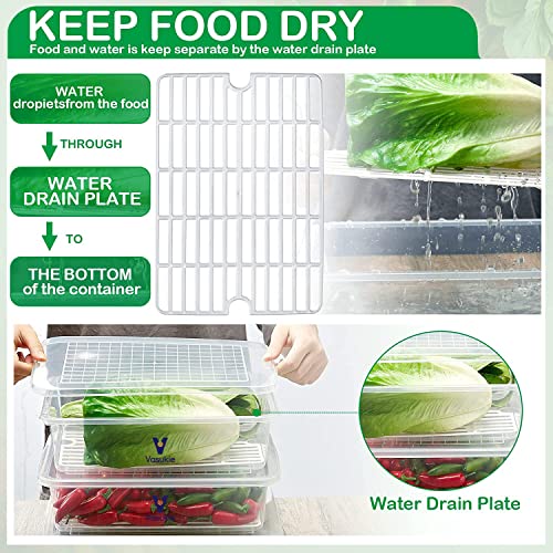 Image of Vasukie Fridge Storage Boxes with Removable Drain Plate, Egg Tray & Lid, Stackable Fridge Organizer, Fridge Containers To Keep Fruits, Vegetables, Meat, Fish, Egg Fresh and Dry (Pack Of 2)