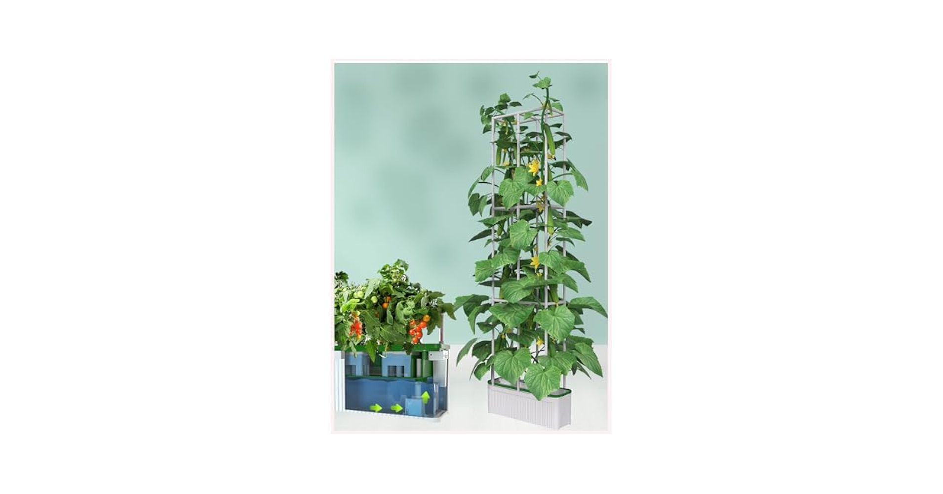 ※まみむー※DAC Plant Delivery まみむー※DAC Plant Delivery Amazon.com: Hydroponics Growing