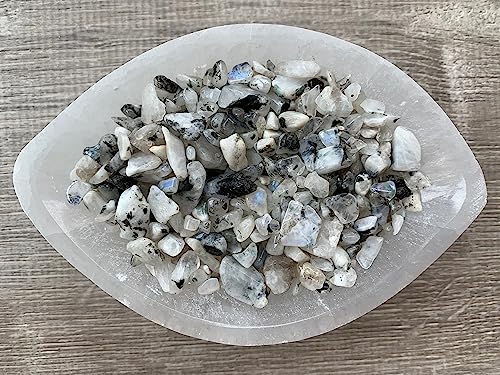 Image of GAF TREASURES 2 oz Lot Natural Semi Tumbled Gemstone Chips, Crushed Mini Crystals, Undrilled Crystal Chips (Rainbow Moonstone)