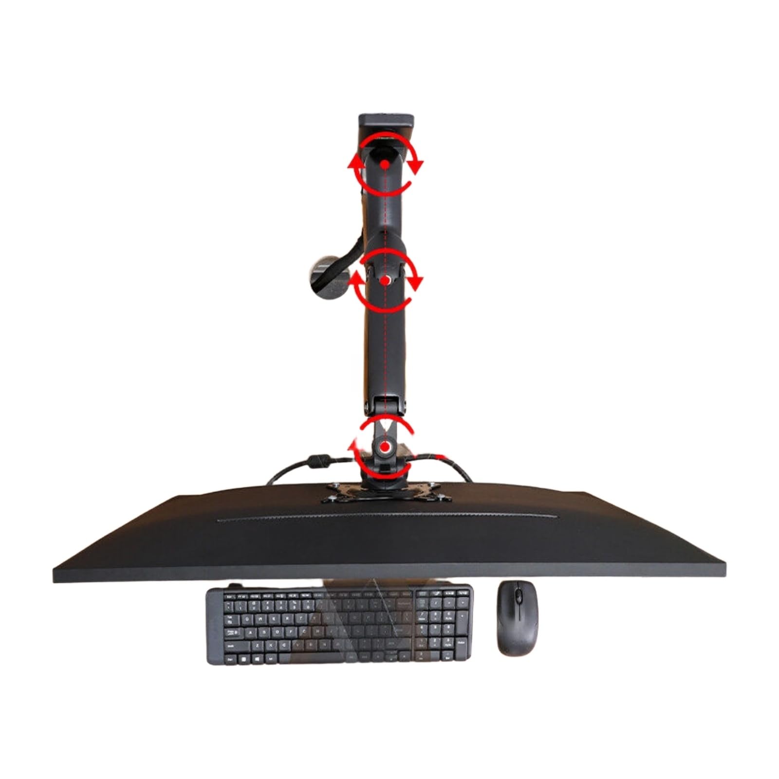Disponibilità di supporto(Black F120 Single Arm (2-7KG))